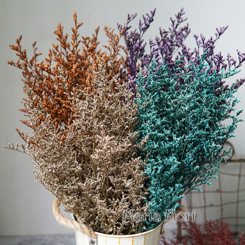Dried Flower Bulk - 70g/Rumput Valentine Awet Bunga Limonium Rumput