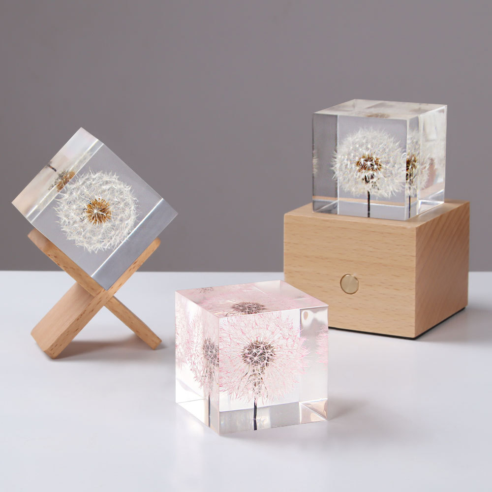 Bunga Dandelion yang diawetkan - Flower Preservation Resin ulasan dan harga