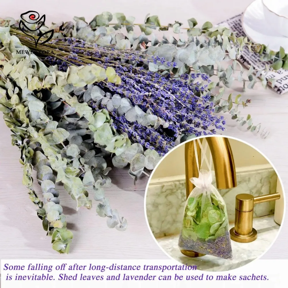 30 buah bunga kering daun euka - Dried Flower Bulk ulasan dan harga