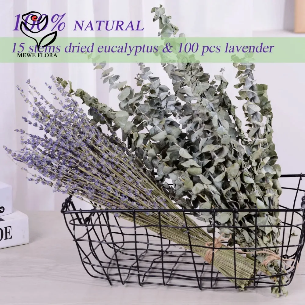 30 buah bunga kering daun euka - Dried Flower Bulk ulasan dan harga