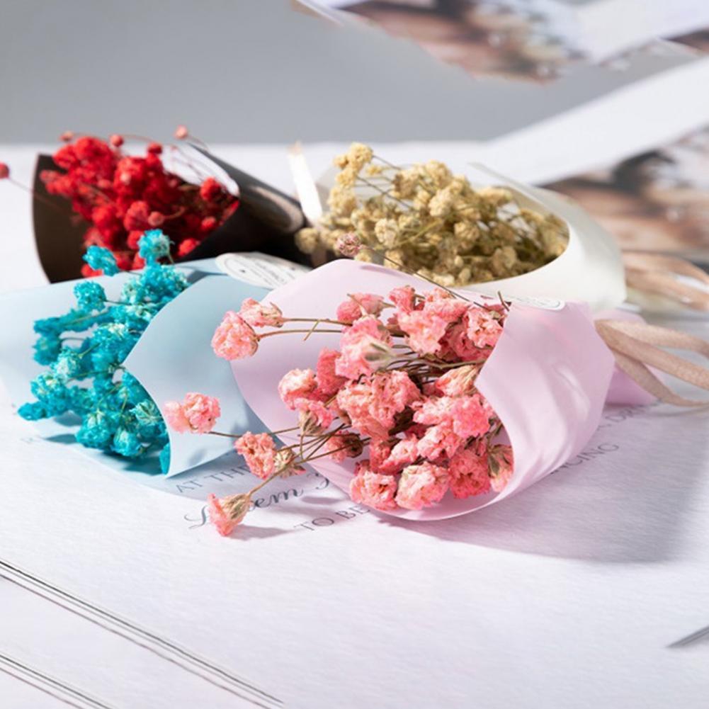 Buket bunga kering buatan tang - Dried Flower Bulk ulasan dan harga